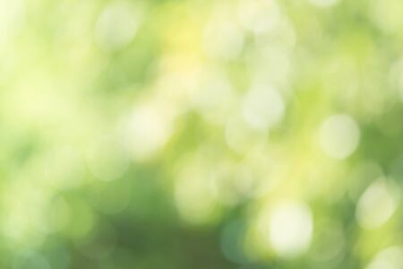 Circle bokeh on the green backgroundの写真素材