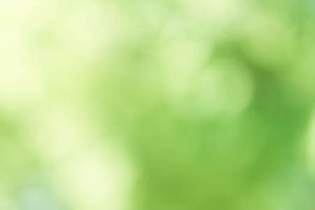 Abstract Green Bokeh Backgroundの写真素材