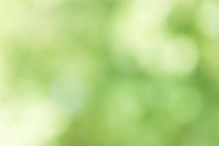 Abstract Green Bokeh Backgroundの写真素材