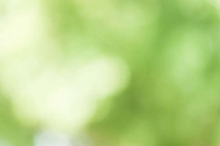 Abstract Green Bokeh Backgroundの写真素材