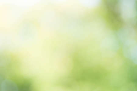 Green Bokeh Backgroundの写真素材