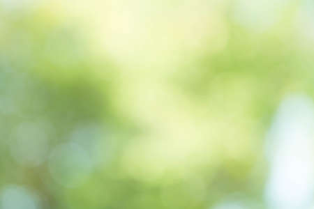Green Bokeh Backgroundの写真素材