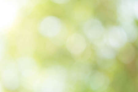 Green Bokeh Backgroundの写真素材