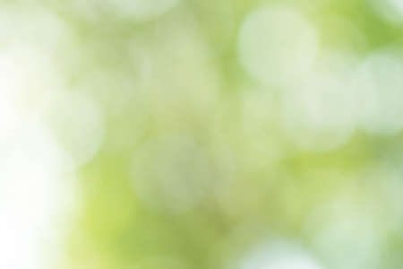 Green Bokeh Backgroundの写真素材