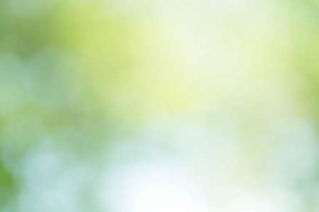 Green Bokeh Backgroundの写真素材