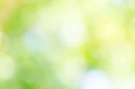 Abstract green bokeh background from trees in the parkの写真素材