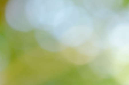 Abstract green bokeh background from trees in the parkの写真素材