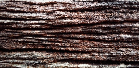 texture of older wood