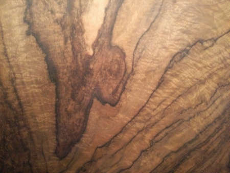 Old brown wood texture. Marco wood texture background.の写真素材