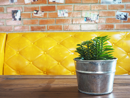 Small plant in pot put on the tableの写真素材