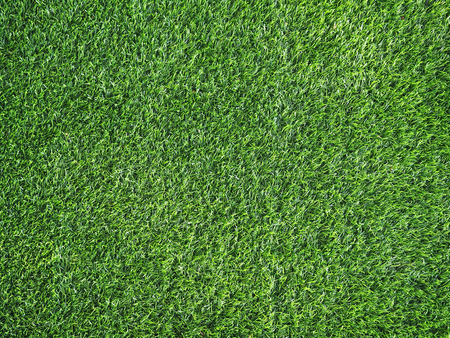 Green grass for backgroundの写真素材