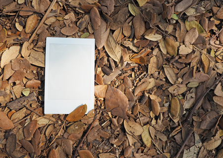 Blank photo print on leaves backgroundの写真素材