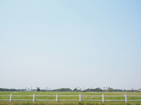 Landscape of lawn with blue skyの写真素材