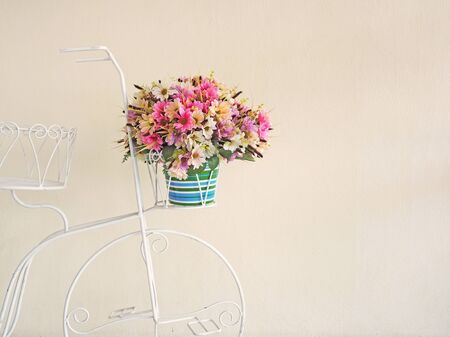 Flowers put on basket bicycleの写真素材