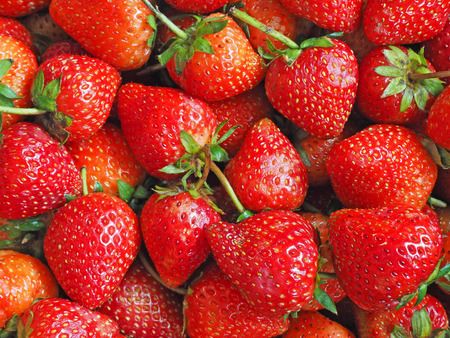 Close up of fresh strawberriesの写真素材