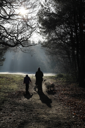 Family walk on cold morningの写真素材