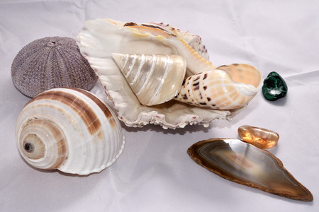 Shells and precious stonesの写真素材