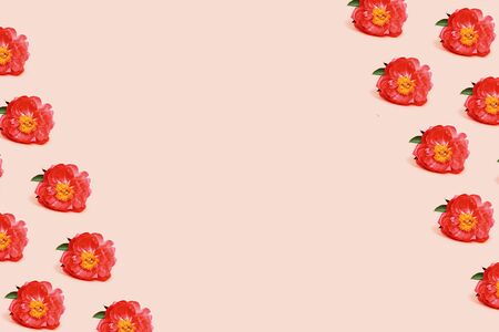 Peona Pattern Flower on pink color background, top view