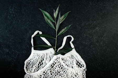 Mesh shopping bag and green leaves, the concept of the importance of ecology to natureの写真素材