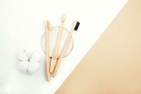Three dental bamboo brushes on white background with flower of cottonの写真素材