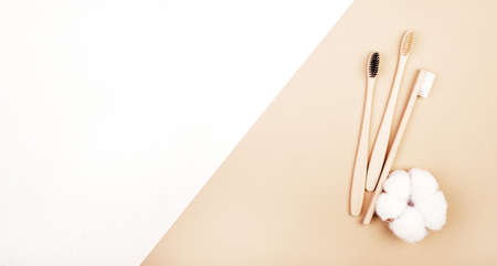 Three dental bamboo brushes on white background with flower of cottonの写真素材