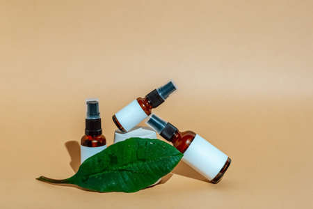 Facial cosmetics on background, concept of natural cosmetics and green leafの写真素材
