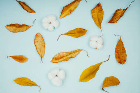 Autumn flat creative composition dried leaves. Flat lay, top view,の写真素材