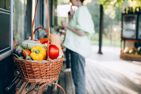 Autumn vegetables on the counter of the cafe. Colorful fresh seasonal harvest.