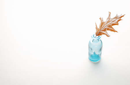 Minimalistic composition with dry autumn sheet and blue bottle