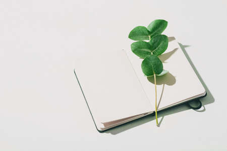 A notebook on white background with a eucalyptus branch, top view