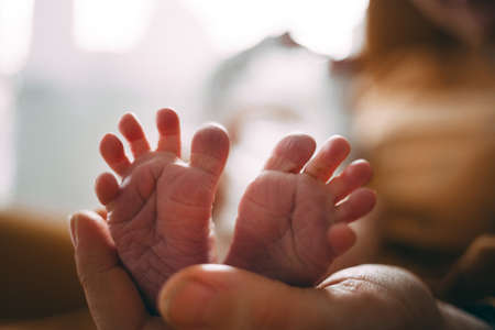 Babys legs in moms hands, tenderness and care