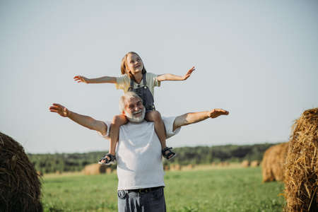 The girl sits on the shoulders of her grandfather while walking in the field. Happy vacation concept with grandparentの写真素材