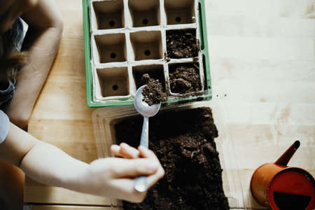 Girl planting seedlings at home, hobbies and entertainmentの写真素材