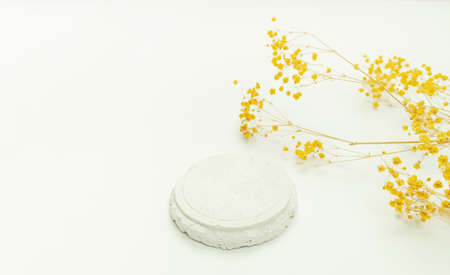 Natural white color background with a dry flower and podiumの写真素材