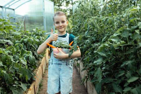 Happy child harvested organic crop from home greenhouseの写真素材