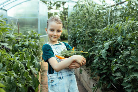 Happy child harvested organic crop from home greenhouseの写真素材