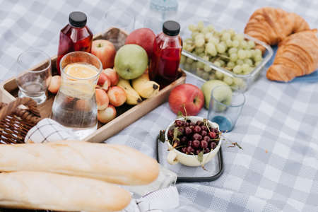 Fruits and drinks on the tablecloth at the picnic, summer family vacation in natureの写真素材