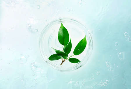 Blue background with bubbles and a circular frame which enclosed green sprout plant