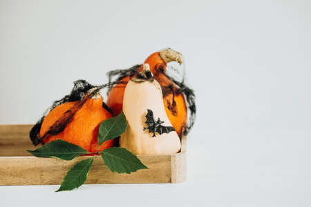 Halloween holiday background with orange pumpkins on a wooden tray and green leaf, fall cozy composition banner.の写真素材