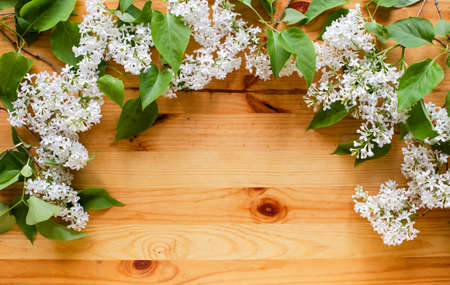 flowers laid out on a wooden background. there is a place for thingsの写真素材