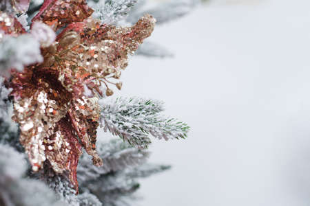 snow covered pine tree branches with place for textの写真素材