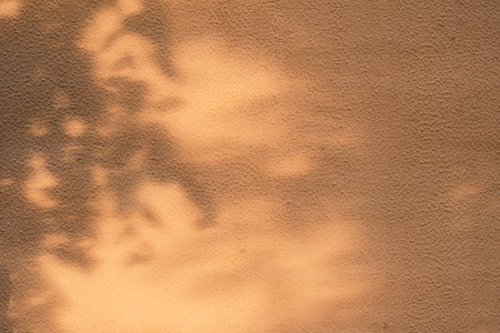 An orange wall on which the shadow of a nearby tree falls. play of sunlightの写真素材