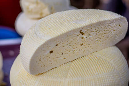 Big head of cheese. Cottage cheese. Tasty cheese with holes lies on the table