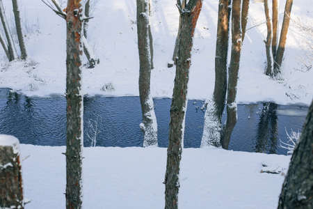 snow covered trees and blue river