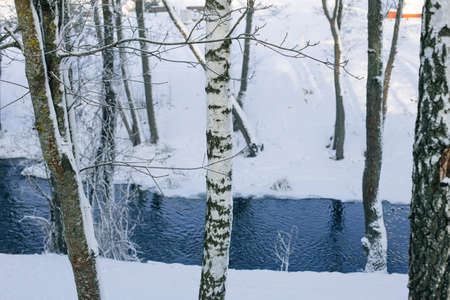 snow covered trees and blue river