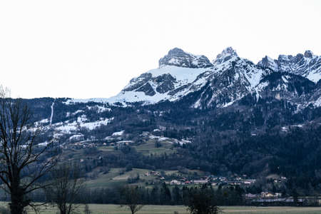 snow-capped mountain. in the foreground branches of a dry tree