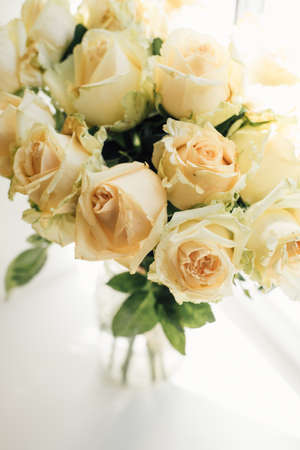 bouquet of cream roses in a transparent vaseの写真素材