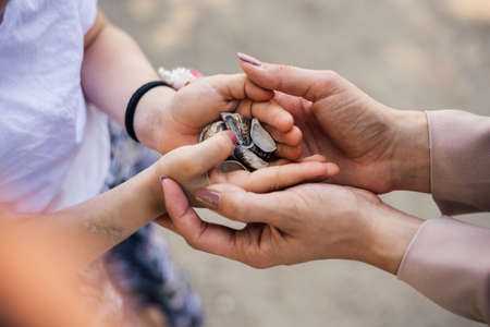 Mother with daughters with seashells enjoying summerの写真素材
