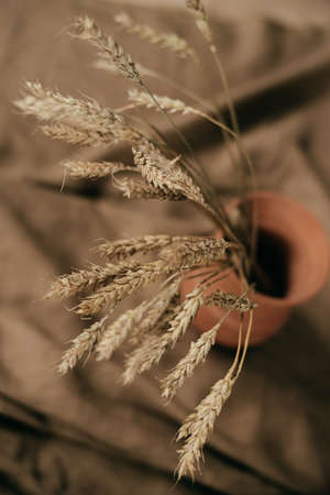 Picture of a rural life.の写真素材