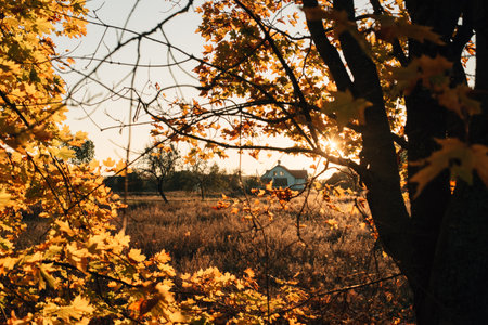 autumn sunset in the village. High quality photo